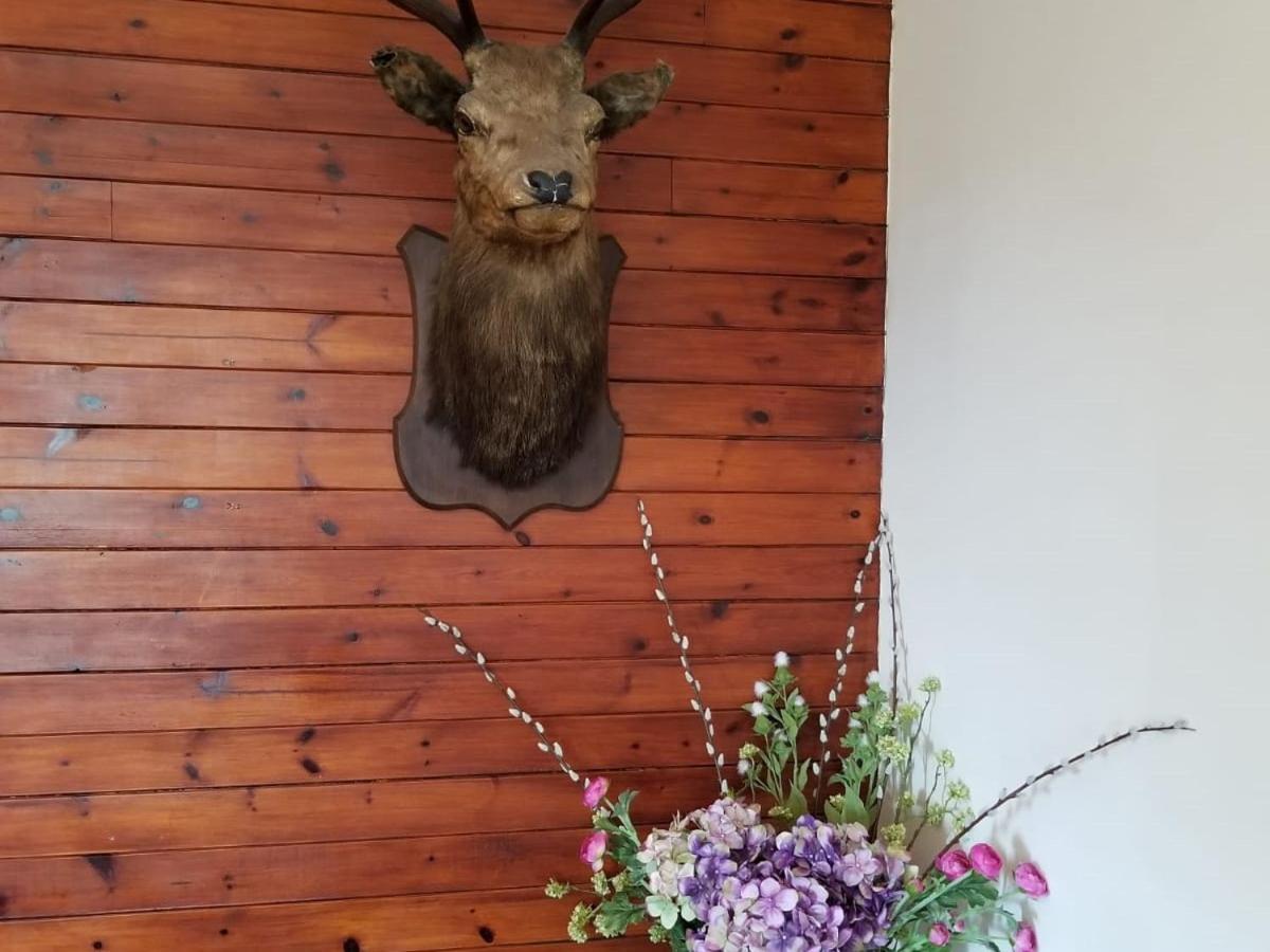 Glenan Lodge Self Catering Tomatin Kültér fotó